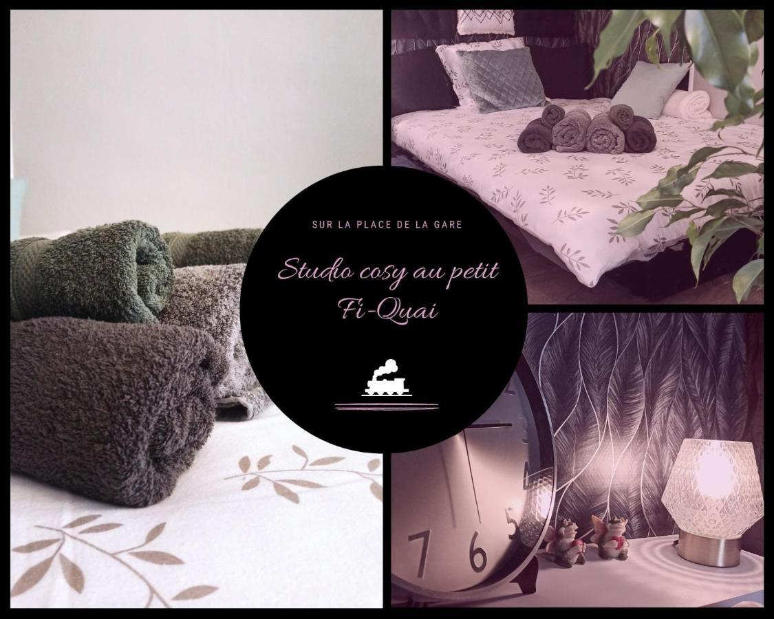 Studio Cosy, Gare Et Hyper-centre Immédiats Appartement *